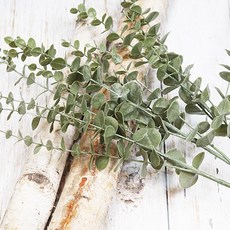 都市庭園 人造尤加利葉枝 3入, 混合色