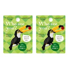 HAMANAKA 你是誰 H459-041, 混色, 2件