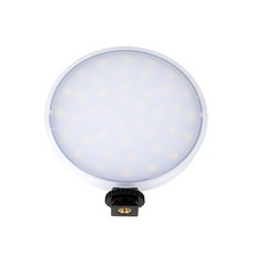 오로라 Clux 씨룩스원형 LED, 1개