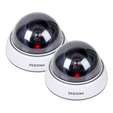 고급형 리얼 프로세스 돔타입 모형 CCTV, 2개