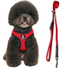 Bennys 寵物胸背帶+牽繩 1.5m, 紅色, 1組