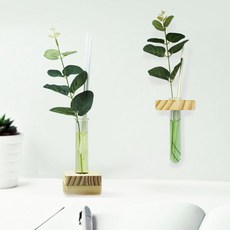 2合1壁掛式擴香組合, 02 Grapefruit Mandarin, 80ml, 1個