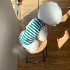 MAGDOG TOMS 條紋無袖T恤, 綠色