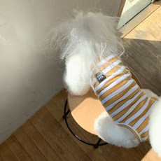 MAGDOG TOMS 條紋無袖T恤, 黃色