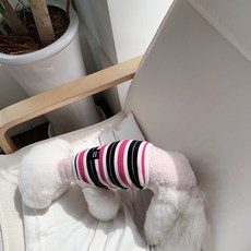 MAGDOG Mark 條紋短版T恤, 粉紅色