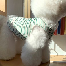 MAGDOG Morning 亞麻條紋無袖T恤, 綠色