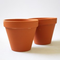 MORIANN Nature's 土包子 2p, 單色