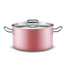 EDELKOCHEN 電磁爐適用雙耳陶瓷塗層3層不鏽鋼湯鍋+鍋蓋, 粉色, 24cm