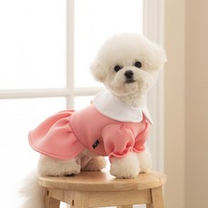 도그토리 마카롱 원피스, 핑크, 1개