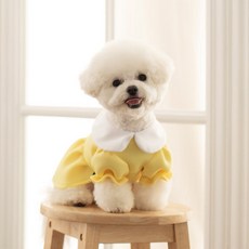 도그토리 마카롱 원피스, 옐로우, 1개