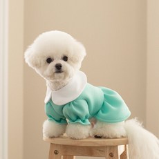 도그토리 마카롱 원피스, 민트, 1개