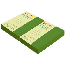 paperculture 雙面色紙 New C-Plain 32開 No.60 淺綠色, 560張