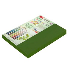 paperculture 雙面色紙 New Sea Plain B4 No.61 深嫩綠, 200張