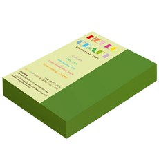 paperculture 雙面色紙 뉴씨플레인 16開 No.60 淺綠色, 280張