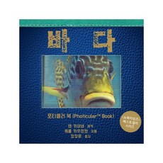 海洋, 小宇宙, Portular Book（活動書）系列