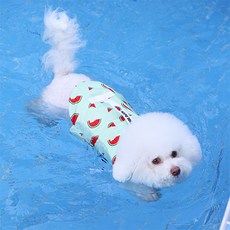 ITS DOG 寵物救生衣, 西瓜