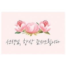 도나앤데코 선생님006 아론 핑크 꽃잎 가로형 사각 스티커 6 x 4 cm, 혼합 색상, 60개