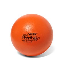 Volley 小手球 L, 橘子