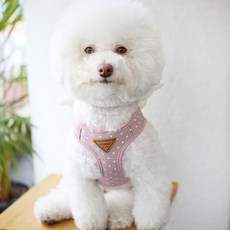 ITS DOG 天使印花寵物背帶, 粉色_S