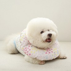 ITS DOG 有機居家護理 寵物防舔頸圈 粉紅色 S, 80g, 1個