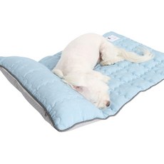 이츠독 인견 프리미엄 쿨링 매트, 블루, 1개