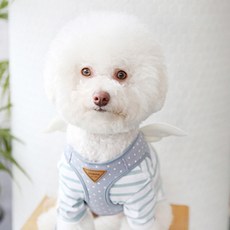 ITS DOG Sweety Angel 寵物胸背帶, 藍色, 1個