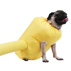 CompLife 펫드레서 寵物烘乾箱 M, 黃色, 1個