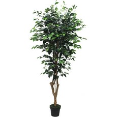 도시정원 조화 벤자민 200cm, 혼합 색상, 1개