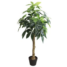 도시정원 파키라 120cm, 혼합 색상, 1개