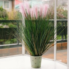 아스파시아 코미니스 갈대 조화나무, 혼합 색상, 1개