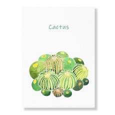 Mayco Global家居裝飾植物帆布畫 仙人掌3