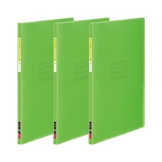 ECO Chungwoon 彩色索引透明文件夾 10頁 A4, 淺綠, 3個