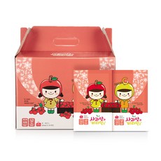사과꽃향기 사랑에 빠진 사과양과 비타민군 사과즙, 5L, 1박스