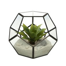 삼호유리 블랙풋볼 행잉플랜트, 블랙, 1개