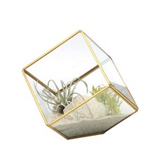 Samho Glass 方形懸掛式植物 SH03502, 金色, 1個