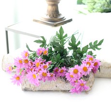 다우에프앤지 조화 와일드데이지 가지 4p, 퍼플