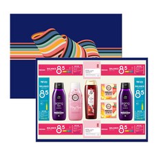 아모레퍼시픽 AP 종합 4호 바디케어 치약 선물세트 + 쇼핑백, 1세트