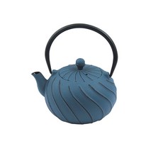 UNKNOWN 鑄鐵水壺, 900毫升, 藍色