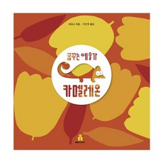 BORIM PRESS 作夢的藝術家變色龍, 夢想藝術家變色龍