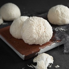 친환경 인증 국내산 노루궁뎅이 버섯 4입, 340g, 1팩