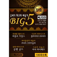 BIG5 本世紀最偉大的藝術家, 1USB