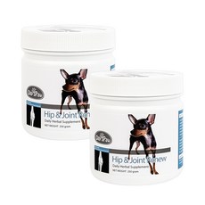 데이스포 강아지 H시리즈 영양제, 250g, 뼈/관절강화, 2개