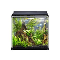 amazon Gok Yuri水族館水AMZ-620F, 黑色
