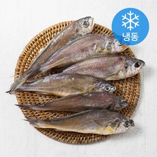 황금굴비 6미 (냉동), 550g (19~20cm 내외), 1개