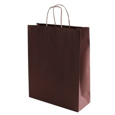 봄91 彩色紙質購物袋 10入, 棕色
