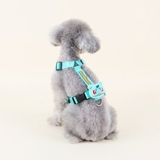 韓國 DASOM 寶可夢 妙蛙種子 H型胸背帶, 薄荷綠, 1個