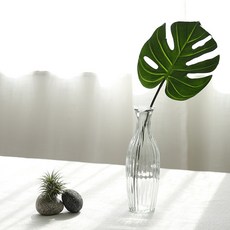 The Flower Market 龜背芋簡潔曲線花瓶套組, 混合顏色