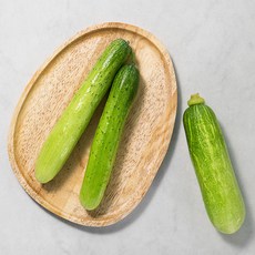친환경 인증 오이 2입 & 애호박, 500g, 1봉