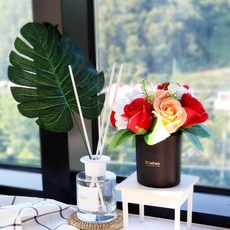 블뤼엔 비누꽃 블랙로즈미니화분, 레드, 1개