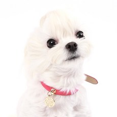 AMYLOVESPET [Artbox POOM/] 基本領 209, 粉色